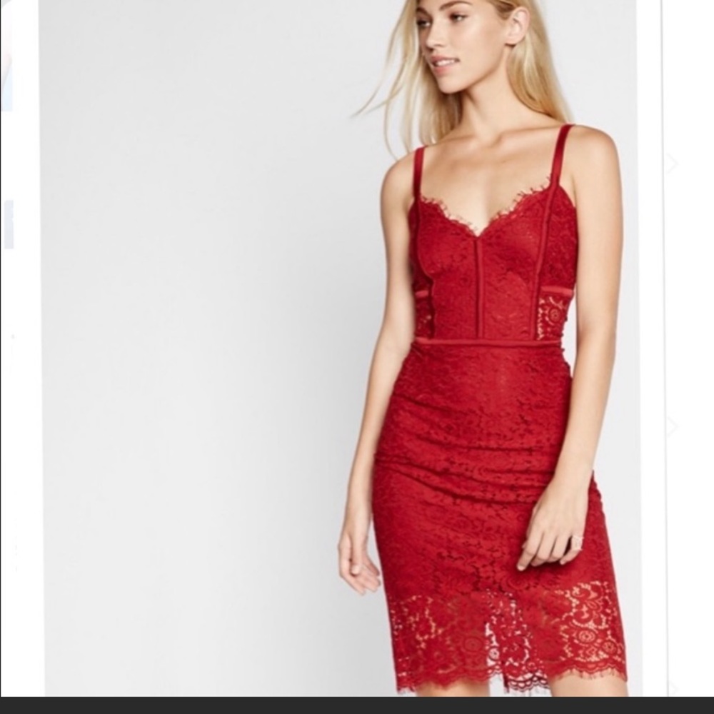 Express piped lace sheath dress